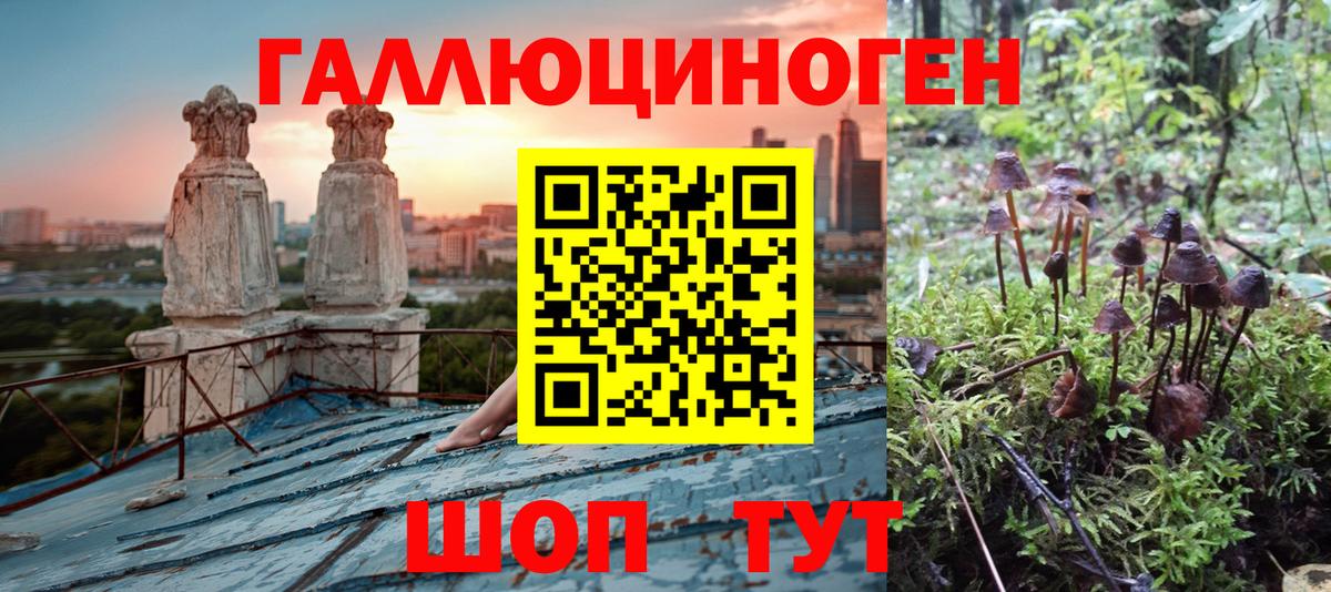 Псилоцибиновые грибы мухоморы  Вход с VPN  Кисловодск  Галлюциногенные грибы Psilocybine cubensis 